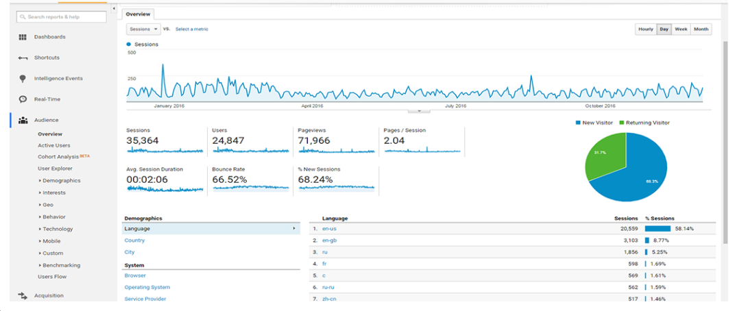 Visitor Analysis Report
